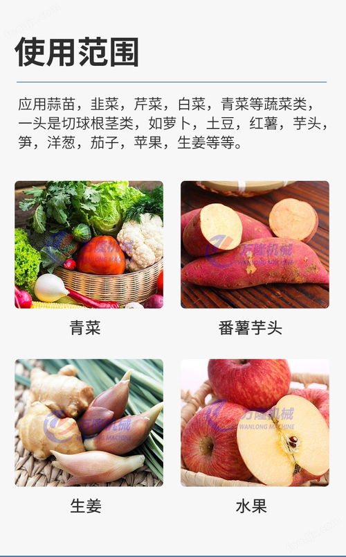 大型蒜泥打碎機(jī) 多功能果蔬加工設(shè)備的革新應(yīng)用